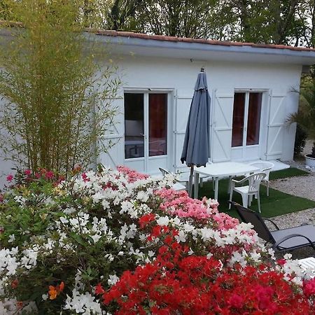 Chalet A Louer Pres De Dax Mées エクステリア 写真